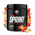 SPRINT